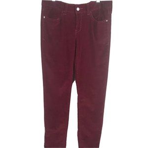 Pilcro & The Letterpress Red Stet Velvet Pants